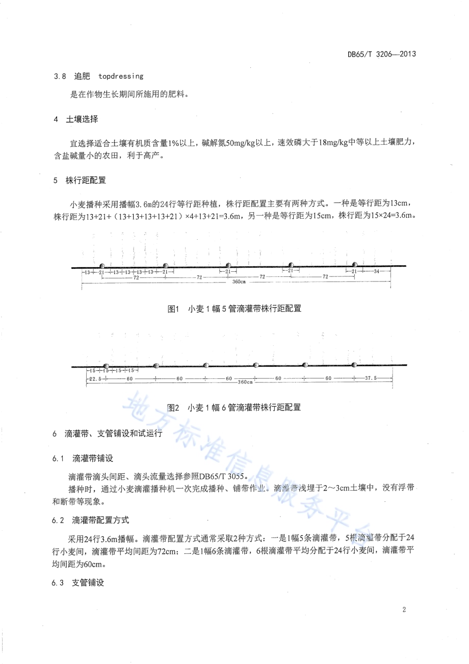 小麦膜下滴灌水肥管理技术规程DB65／T 3206-2013.pdf_第4页