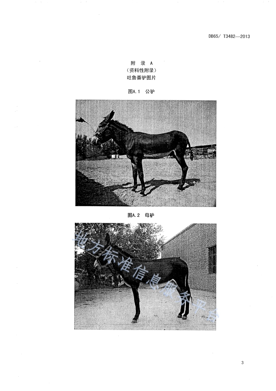 吐鲁番驴DB65／T 3482-2013.pdf_第5页
