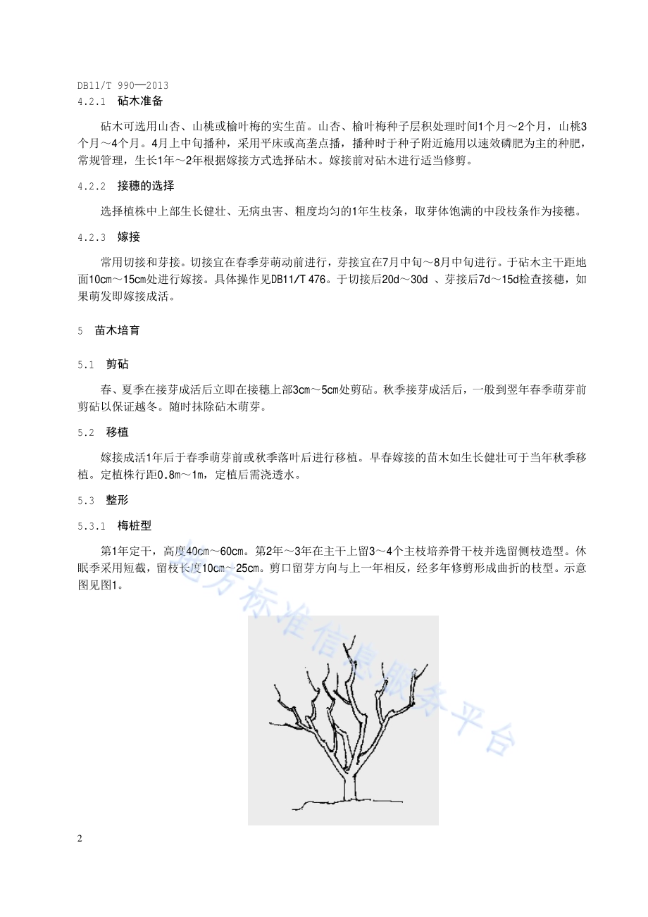 榆叶梅繁殖与栽培养护技术规程DB11／T 990-2013.pdf_第5页