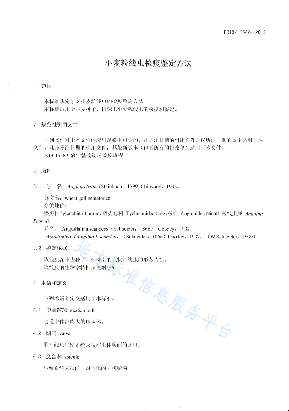 小麦粒线虫检疫鉴定方法DB15／T 542-2013.pdf_第3页