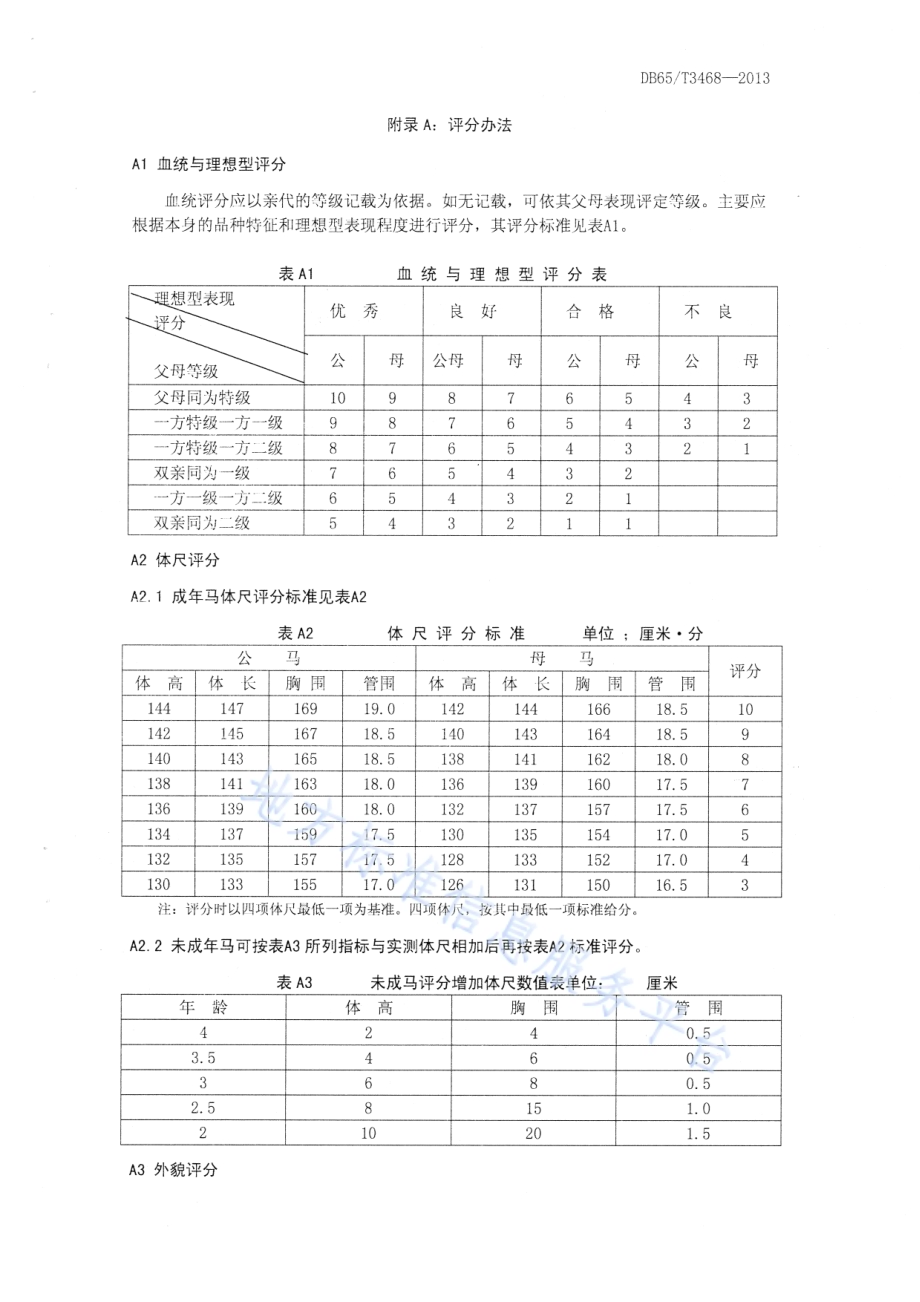 焉耆马DB65／T 3468-2013.pdf_第5页