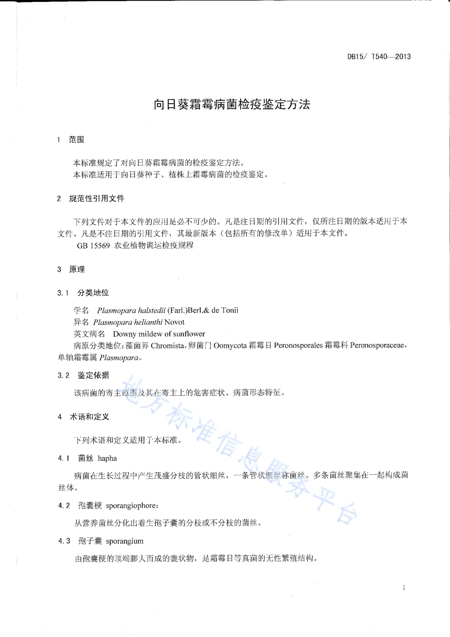 向日葵霜霉菌检疫鉴定方法DB15／T 540-2013.pdf_第3页