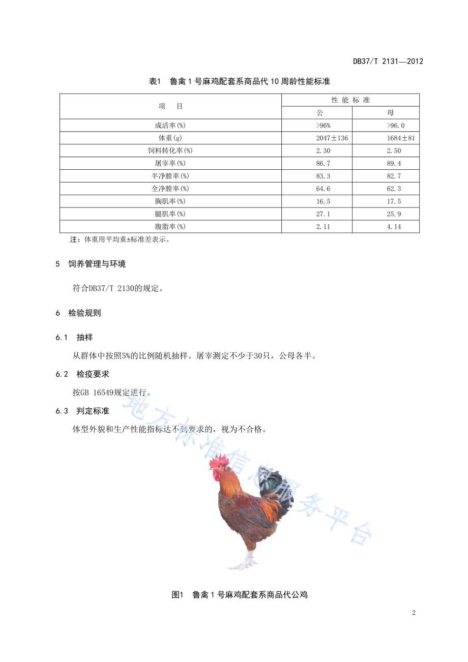 鲁禽1号麻鸡配套系商品代DB37／T 2131-2012.pdf_第4页