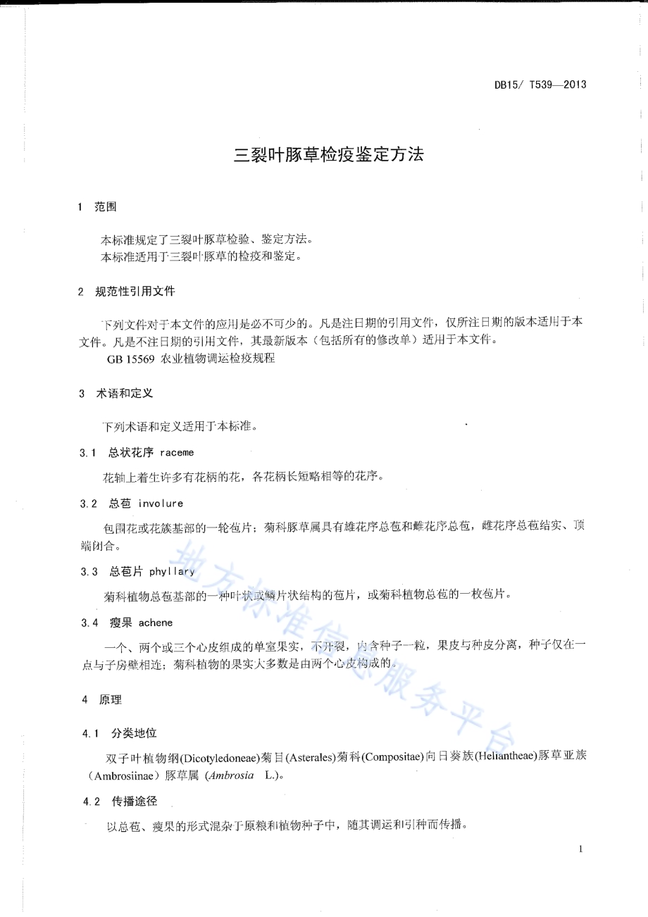 三裂叶豚草检疫鉴定方法DB15／T 539-2013.pdf_第3页