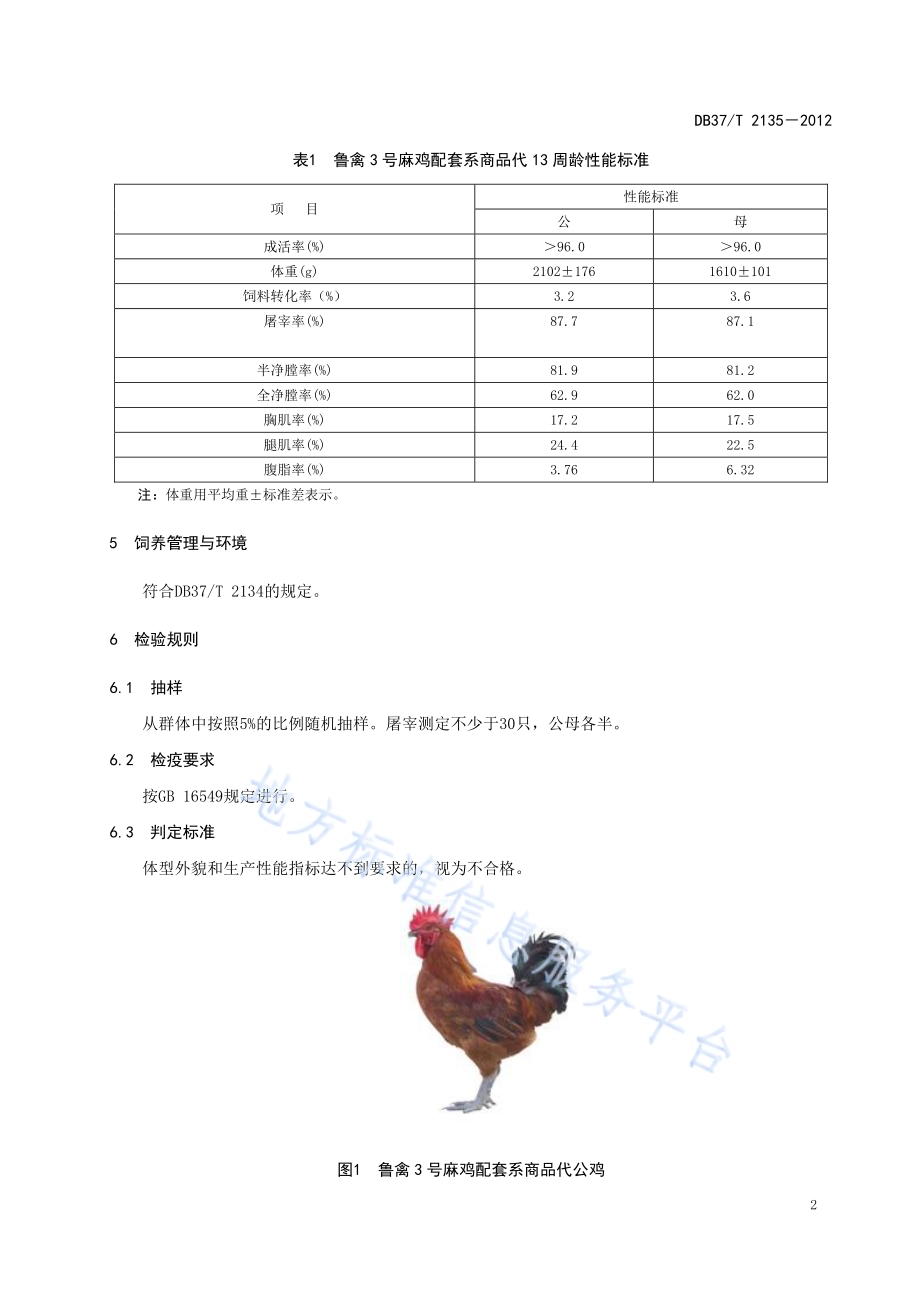 鲁禽3号麻鸡配套系商品代DB37／T 2135-2012.pdf_第4页