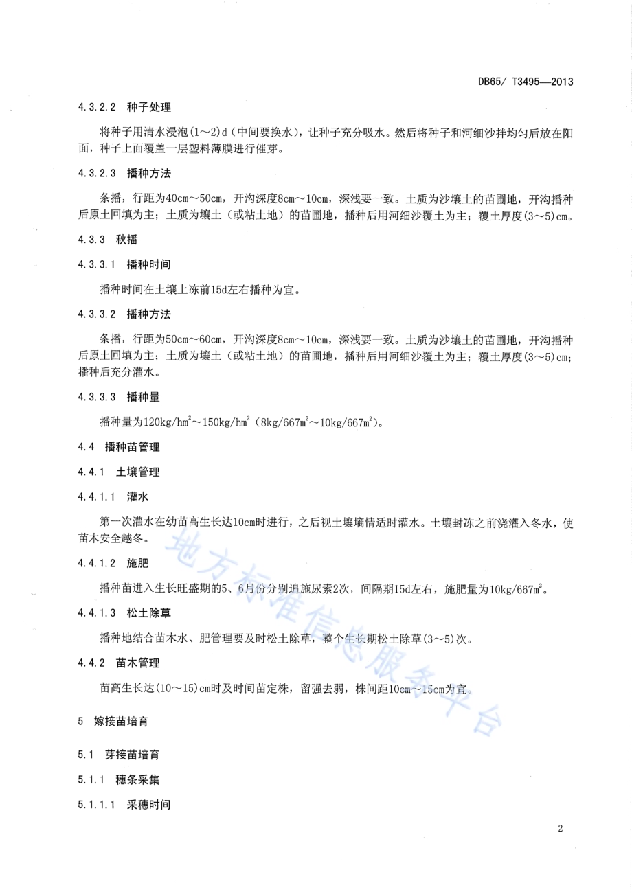 水曲柳嫁接育苗技术规程DB65／T 3495-2013.pdf_第5页