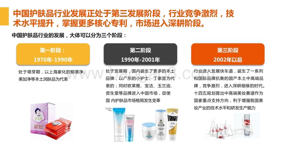 2024-2025护肤品行业及营销趋势报告.pptx_第4页