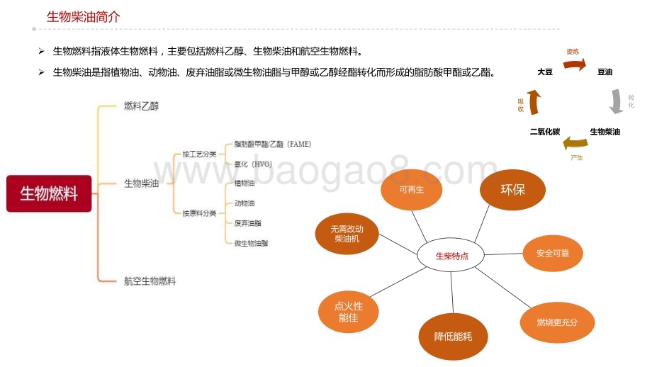 2022-2023全球生物柴油供需结构梳理分析报告.pptx_第4页