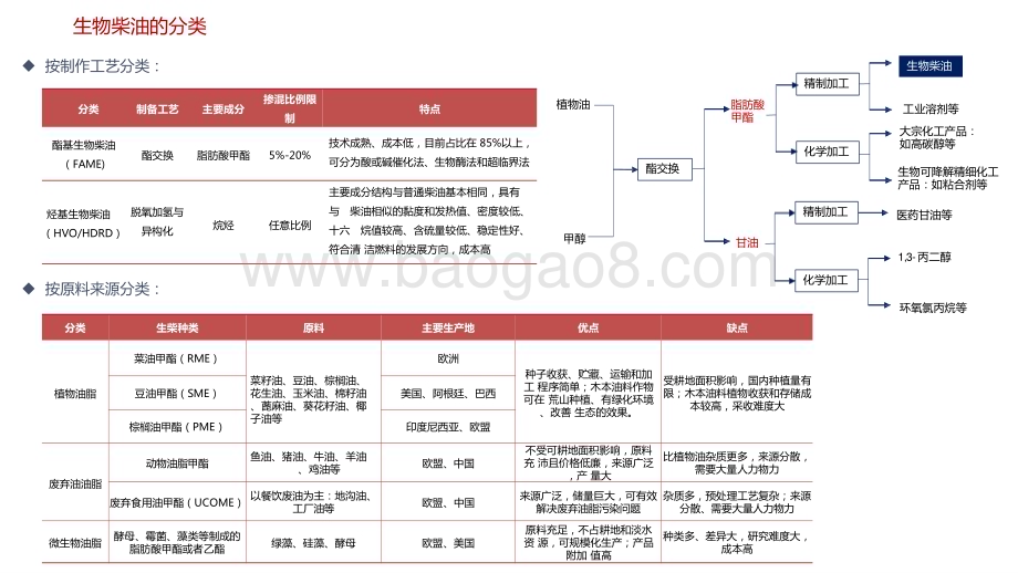 2022-2023全球生物柴油供需结构梳理分析报告.pptx_第5页