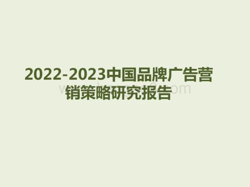 2022-2023中国品牌广告营销策略研究报告.pdf