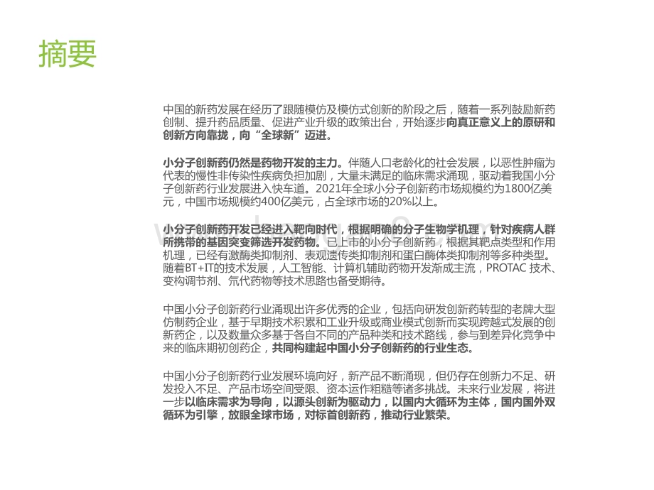 2022-2023中国小分子创新药行业研究报告.pptx_第2页