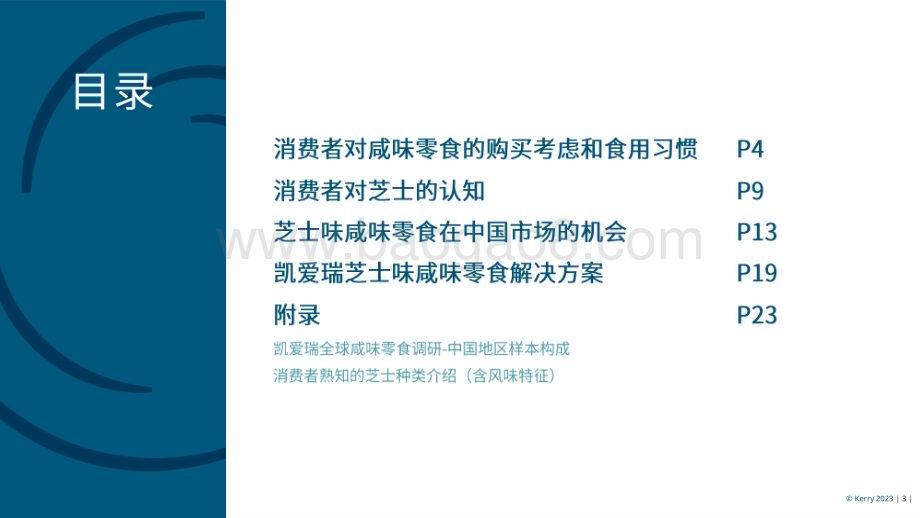 2022-2023第一季度芝士味咸味零食洞察报告.pdf_第3页