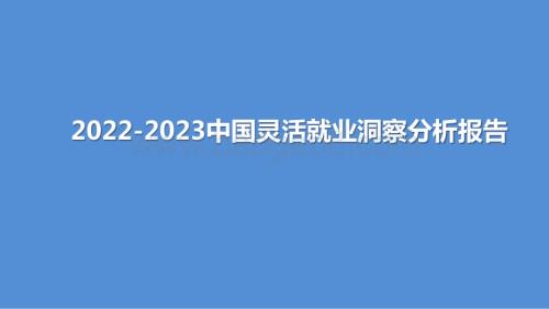 2022-2023中国灵活就业洞察分析报告.pptx