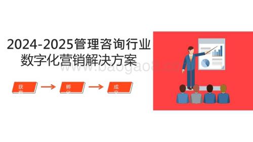 2024-2025管理咨询行业数字化营销解决方案.pptx