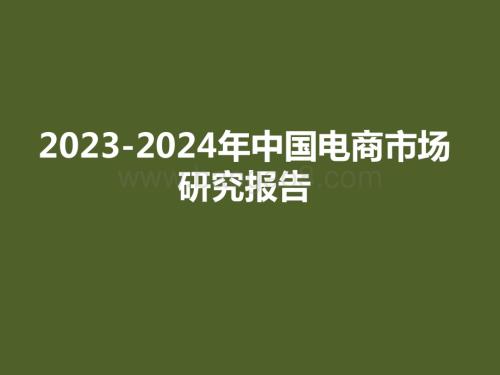 2023-2024年中国电商市场研究报告.pptx