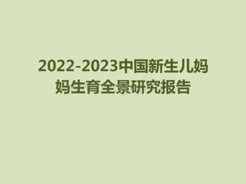 2022-2023中国新生儿妈妈生育全景研究报告.pptx