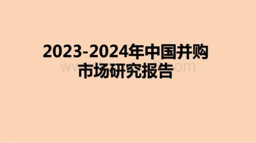 2023-2024年中国并购市场研究报告.pdf