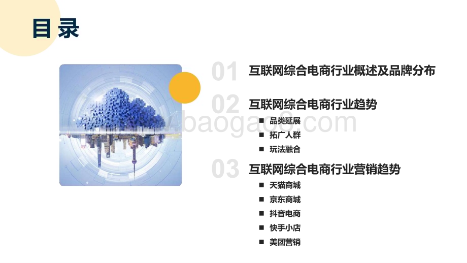 2024-2025互联网综合电商行业及营销趋势报告.pptx_第2页