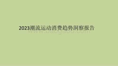 2023潮流运动消费趋势洞察报告.pptx