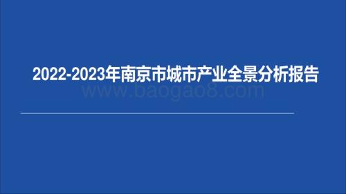 2022-2023年南京市城市产业全景分析报告.pdf