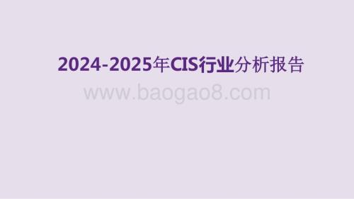 2024-2025年CIS行业分析报告.pptx