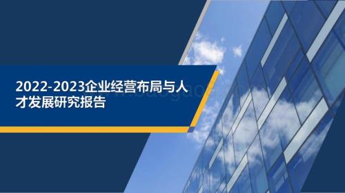 2022-2023企业经营布局与人才发展研究报告.pdf