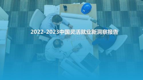 2022-2023中国灵活就业新洞察报告.pptx