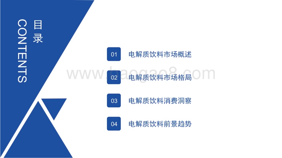 2023-2024年中国电解质饮料行业市场洞察报告.pdf_第2页