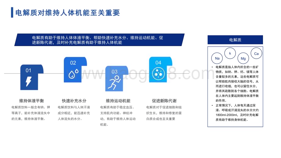 2023-2024年中国电解质饮料行业市场洞察报告.pdf_第4页
