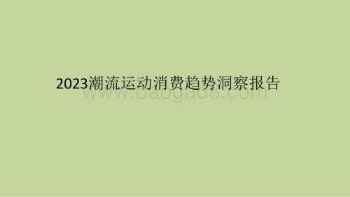 2023潮流运动消费趋势洞察报告.pdf