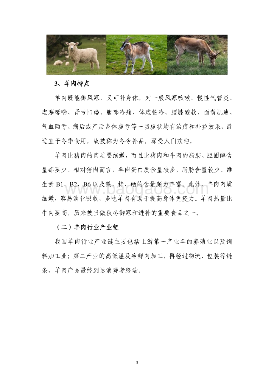 羊肉产业发展研究.pdf_第4页