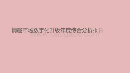 情趣市场数字化升级年度综合分析报告.pptx