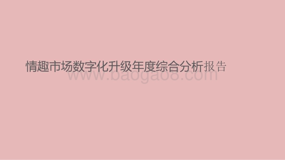 情趣市场数字化升级年度综合分析报告.pptx_第1页