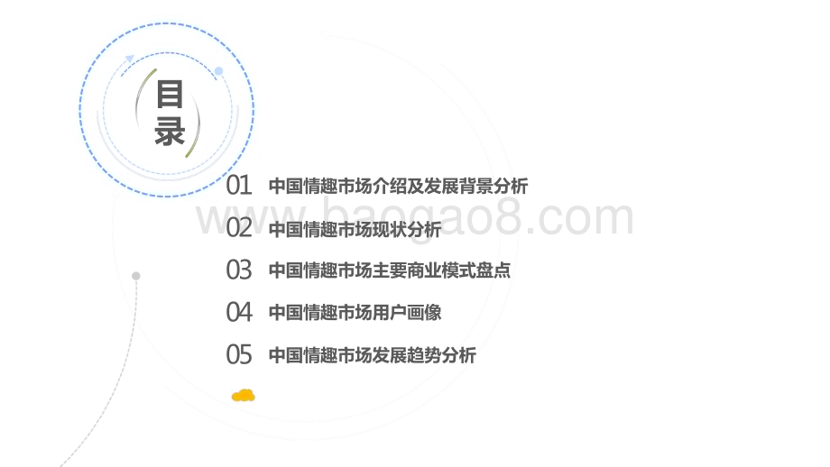 情趣市场数字化升级年度综合分析报告.pptx_第2页