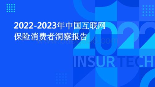 2022-2023年中国互联网保险消费者洞察报告.pdf