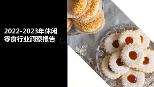 2022-2023年休闲零食行业洞察报告.pptx