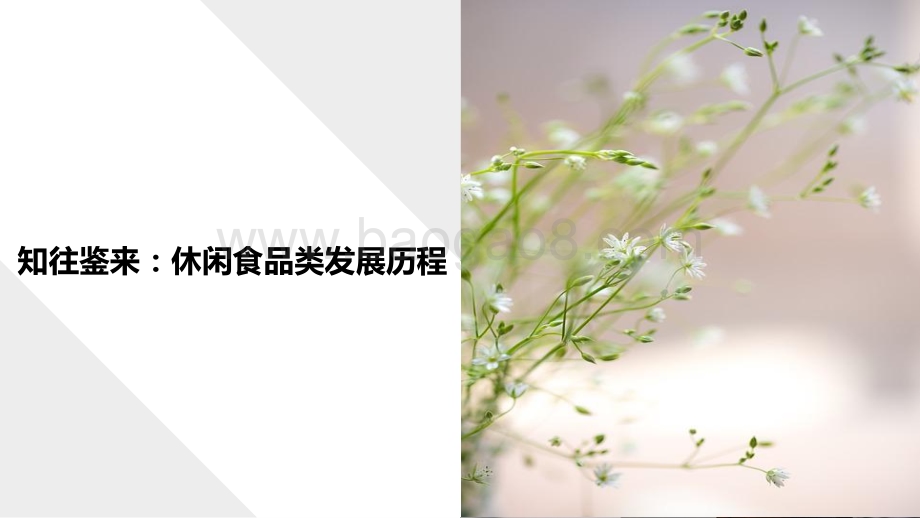 2022-2023年休闲零食行业洞察报告.pptx_第5页