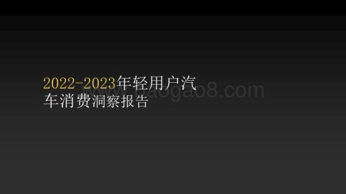 2022-2023年轻用户汽车消费洞察报告.pdf