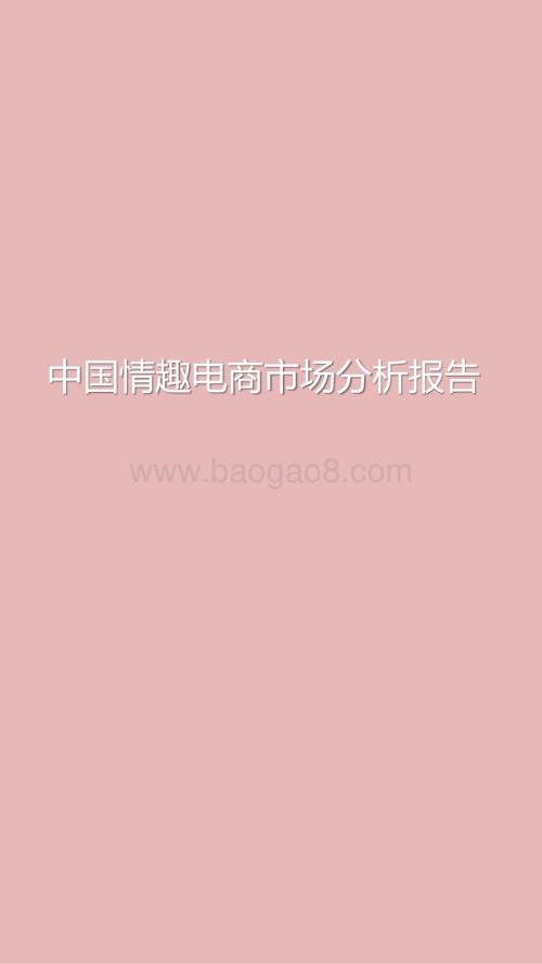 中国情趣电商市场分析报告.pptx