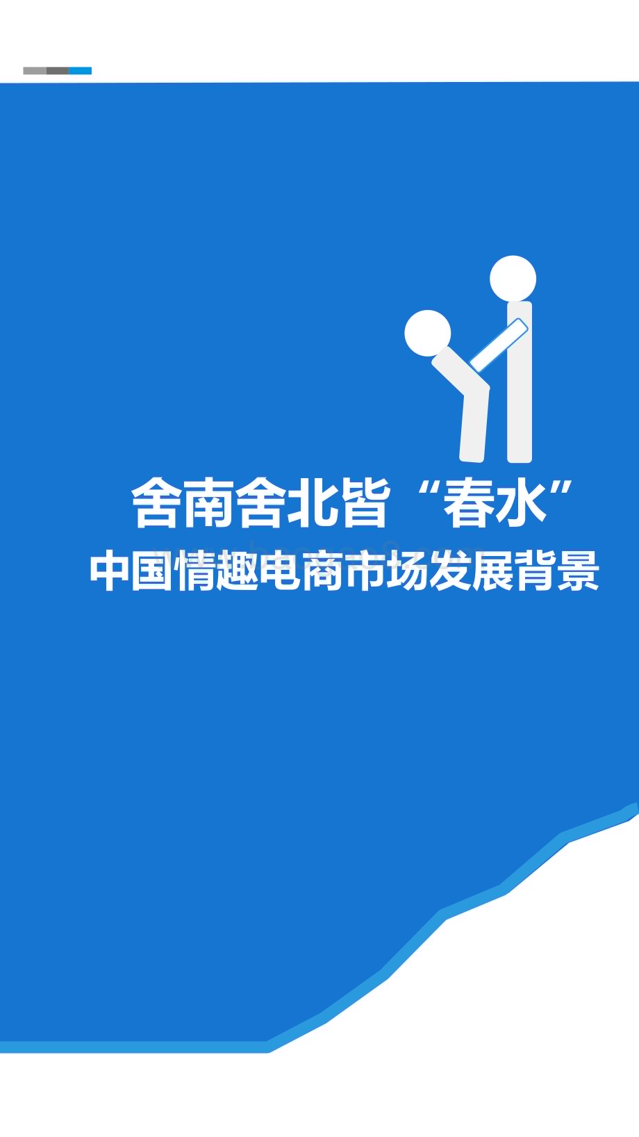 中国情趣电商市场分析报告.pptx_第2页
