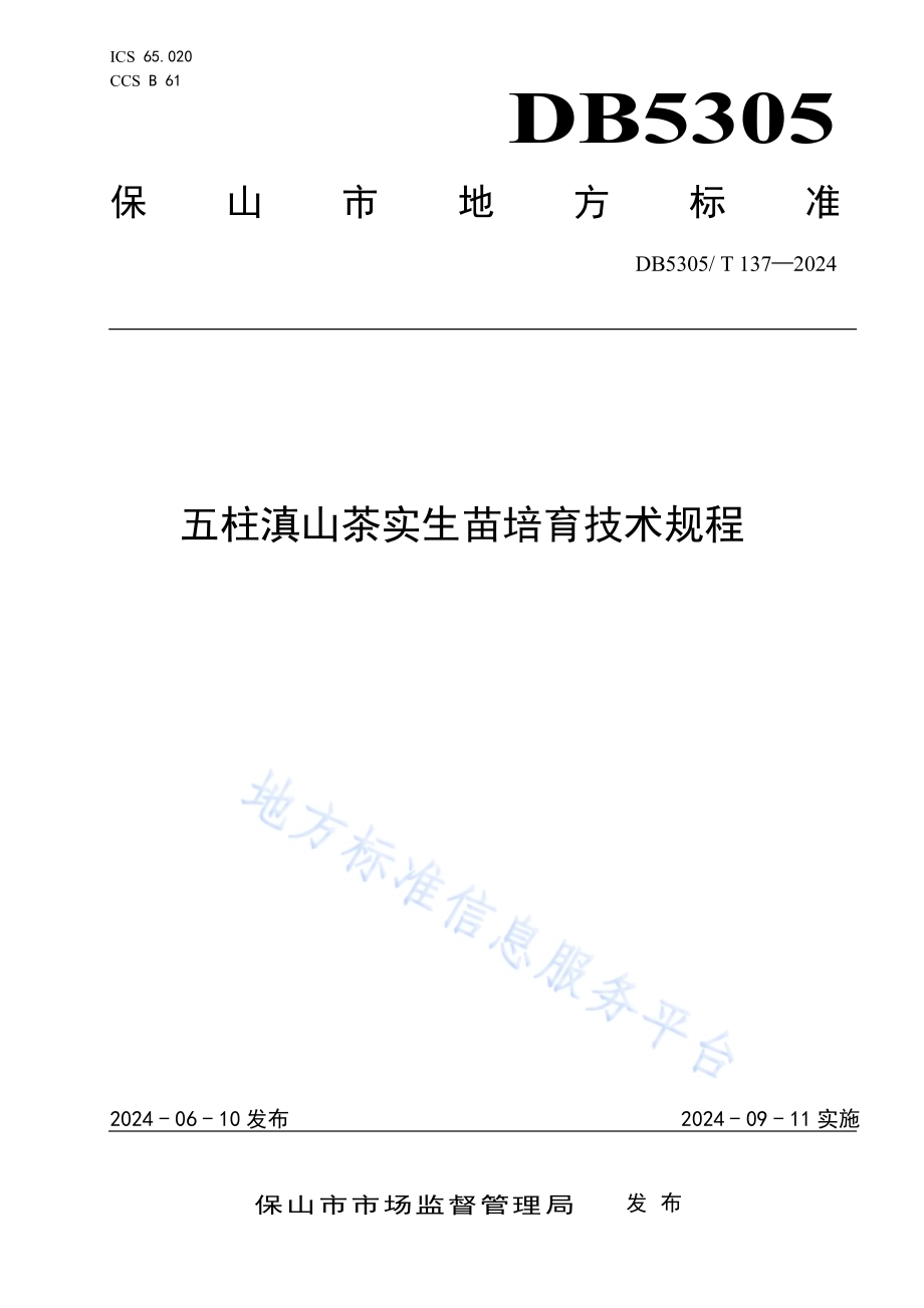 五柱滇山茶实生苗培育技术规程DB5305／T 137-2024.pdf_第1页