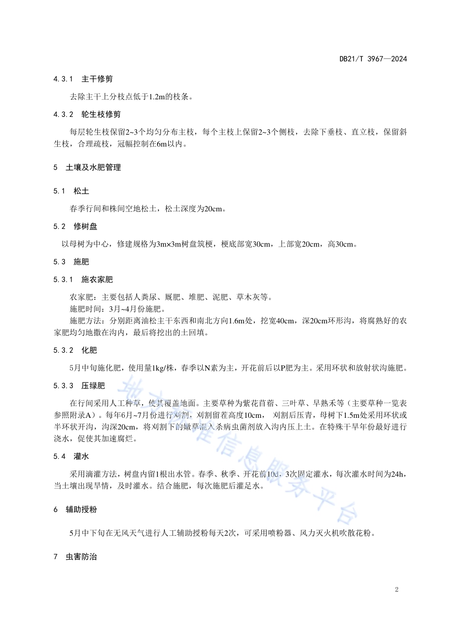 辽西地区油松衰退种子园丰产技术规程DB21／T 3967-2024.pdf_第5页