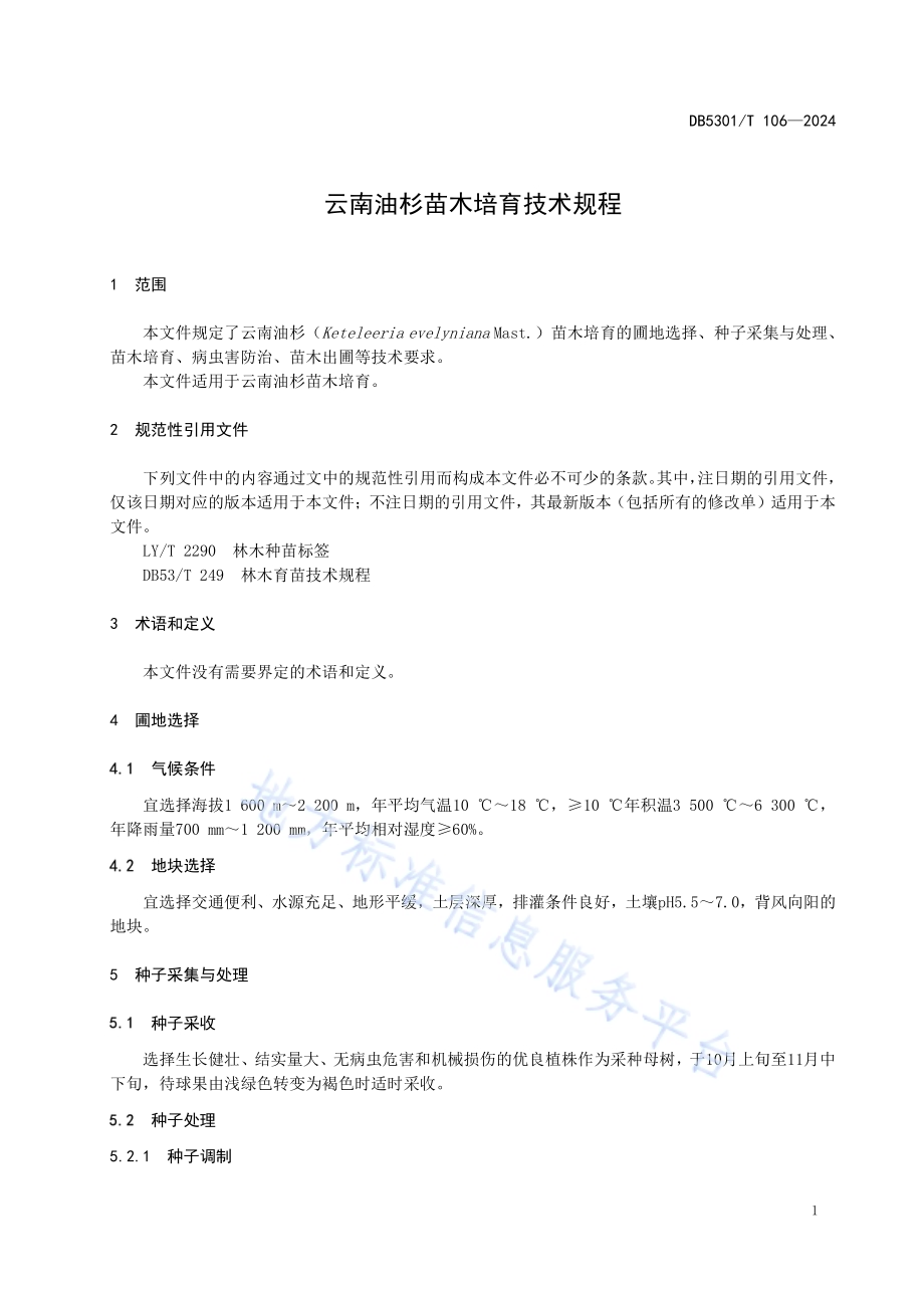 云南油杉苗木培育技术规程DB5301／T 106-2024.pdf_第5页