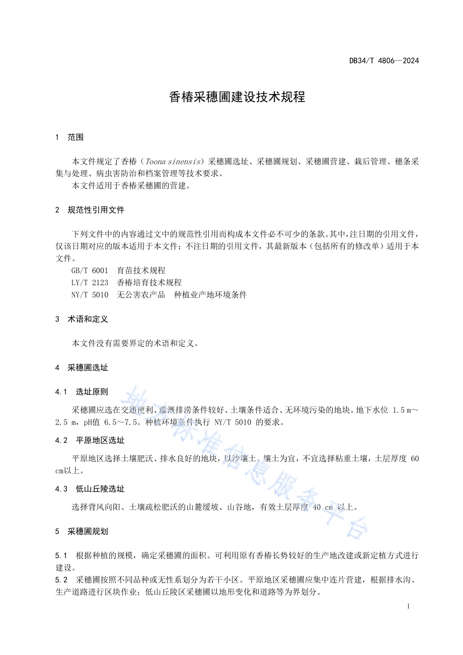 香椿采穗圃建设技术规程DB34／T 4806-2024.pdf_第5页
