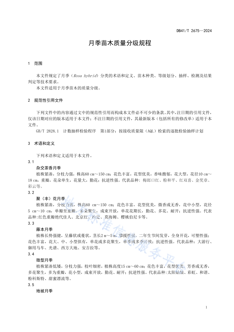 月季苗木质量分级规程DB41／T 2675-2024.pdf_第5页