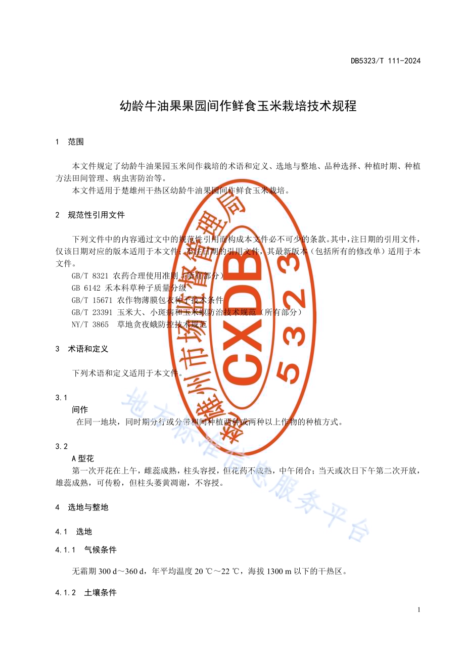 幼龄牛油果果园间作鲜食玉米栽培技术规程DB5323／T 111—2024.pdf_第5页