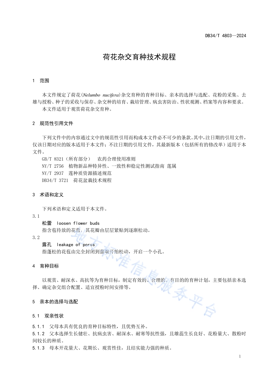 荷花杂交育种技术规程DB34／T 4803-2024.pdf_第5页