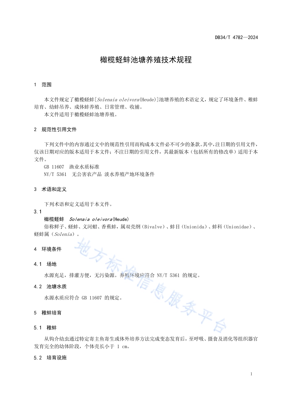 橄榄蛏蚌池塘养殖技术规程DB34／T 4782-2024.pdf_第5页