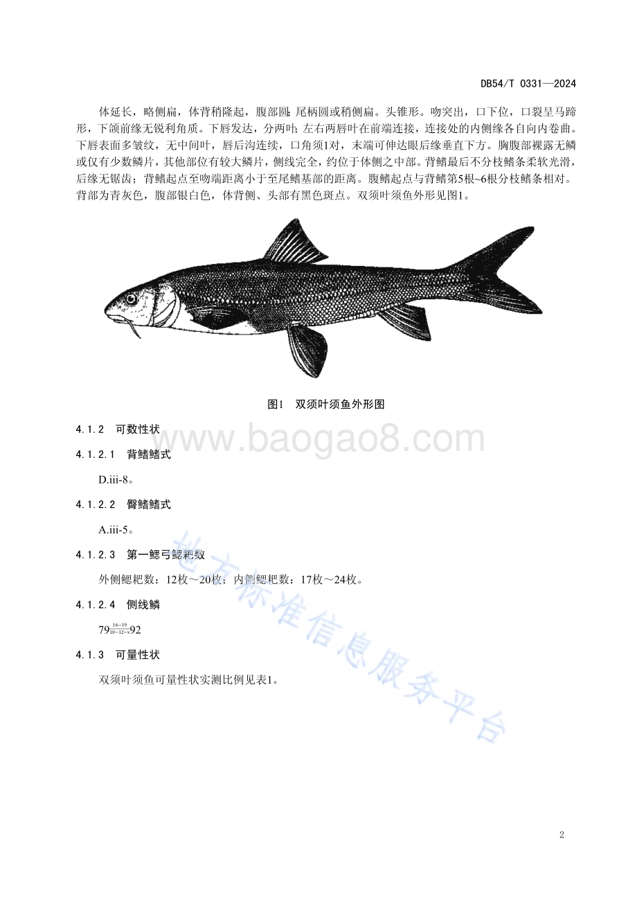 双须叶须鱼DB54／T 0331-2024.pdf_第5页
