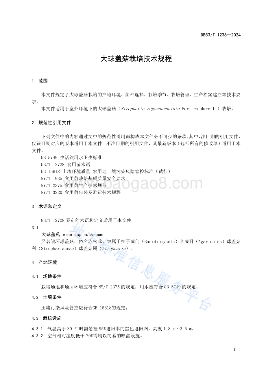 大球盖菇栽培技术规程DB53／T 1236-2024.pdf_第5页